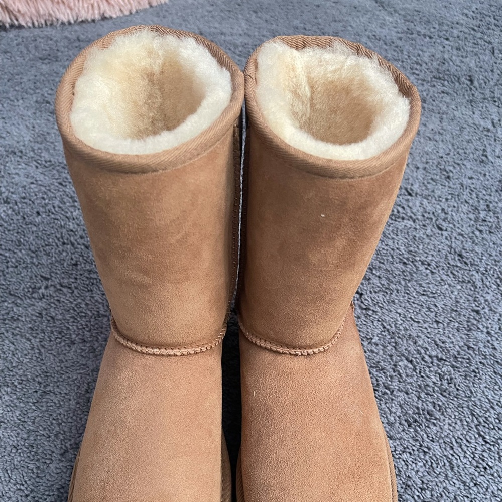 Uggs ( short )